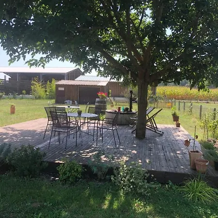 La Maison Du Cout بيت ضيافة Mézos